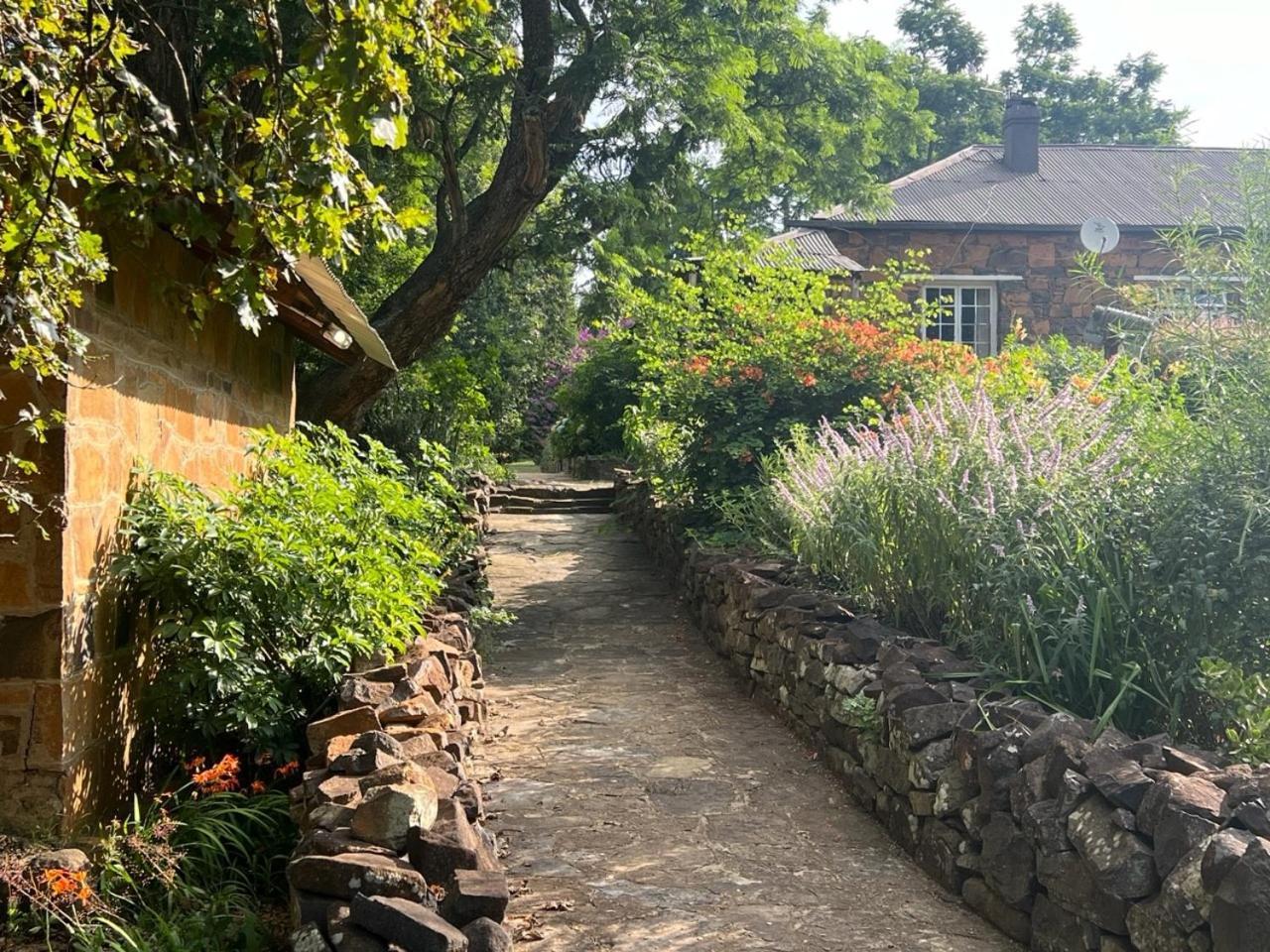 Villa Wyford Farm à Van Reenen Extérieur photo